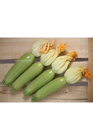 Perletta F1 Beyaz Kabak Tohumu