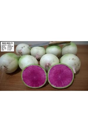 Rido Red F1 Turp Tohumu