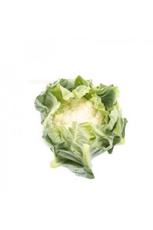 Boyabat Rz F1 (26-311) Erkenci Karnabahar Tohumu