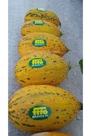 Bravos F1 Kavun Tohumu