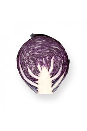 Resima Rz F1(28-303) Kırmızı Lahana Tohumu