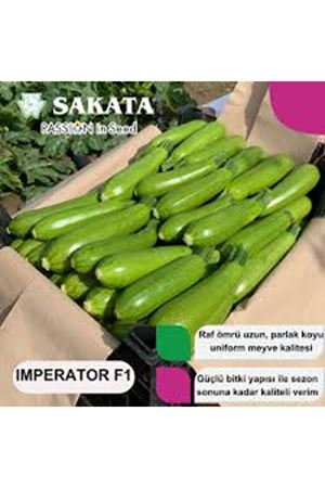 SAKATA İMPERATOR F1 BEYAZ KABAK TOHUMU