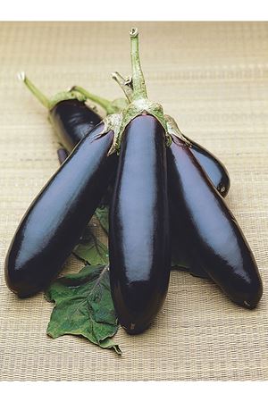 ALTIN TOHUM PALA( YALOVA -49 ) PATLICAN TOHUMU