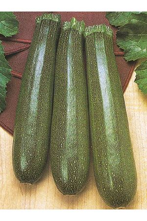 ALTIN SİYAH KABAK TOHUMU