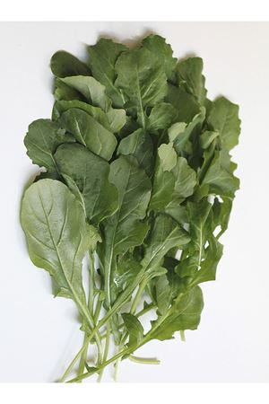  25 GRAM AMBALAJ ROKA -GS1901 TOHUMU , KDV DAHİL  ADET  FİYATI 