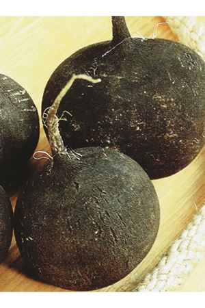 25 GRAM AMBALAJ  ALTIN TOHUM SİYAH TURP TOHUMU KDV DAHİL ADET FİYATI 