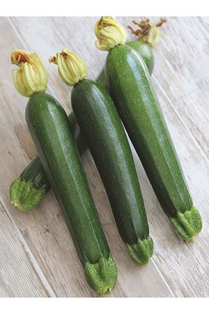 ELİDA F1 SİYAH KABAK TOHUMU