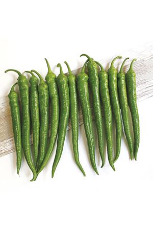 ATLANTİS F1 SİVRİ BİBER TOHUMU