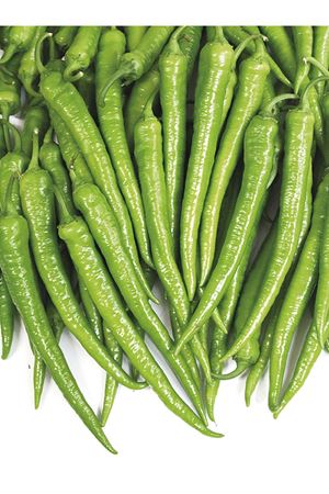 ERTUĞRUL F1 SİVRİ BİBER TOHUMU