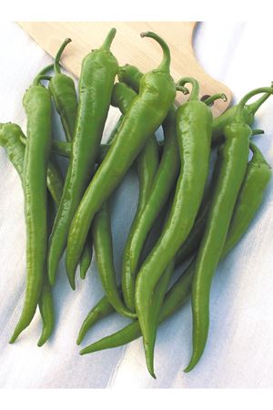 SUPER AMAZON F1 SİVRİ BİBER TOHUMU