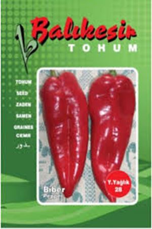BALIKESİR TOHUM Y.YAĞLIK KAPYA BİBER TOHUMU