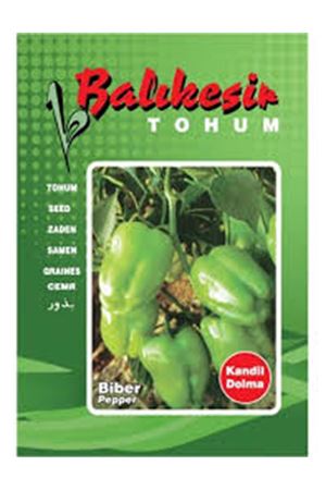 BALIKESİR TOHUM KANDİL DOLMA BİBER TOHUMU