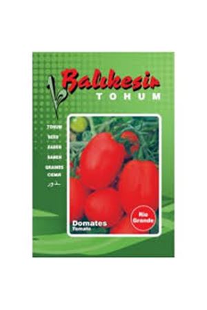 BALIKESİR TOHUM RİO GRANDE OTURAK  TOHUMU