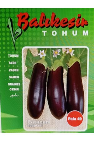 BALIKESİR TOHUM PALA 49 PATLICAN  TOHUMU