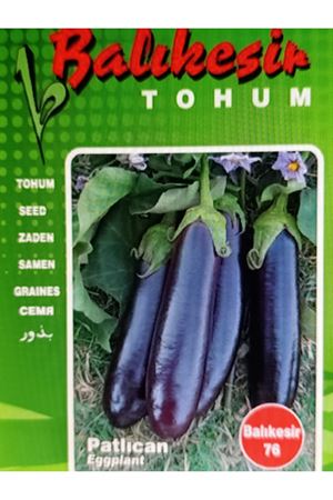 BALIKESİR TOHUM  BALIKESİR 76 PATLICAN  TOHUMU