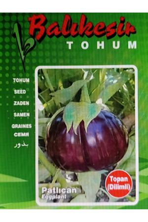  TOPAN DİLİMLİ PATLICAN TOHUMU 5 GRAM AMBALAJI KDV DAHİL ADET FİYATI