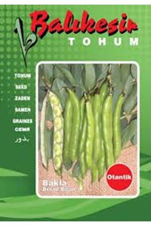 BALIKESİR TOHUM OTANTİK BAKLA  TOHUMU