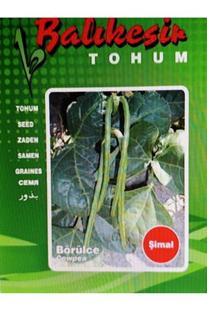 BALIKESİR TOHUM ŞİMAL BÖRÜLCE  TOHUMU