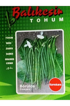 BALIKESİR TOHUM KARNIKARA BÖRÜLCE TOHUMU