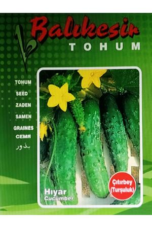 BALIKESİR TOHUM ÇITIRBEY TURŞULUK HIYAR  TOHUMU