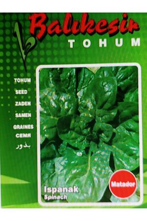BALIKESİR TOHUM MATADOR  ISPANAK  TOHUMU