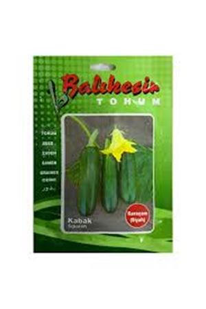 BALIKESİR TOHUM KARAÇAM (SİYAH ) KABAK TOHUMU