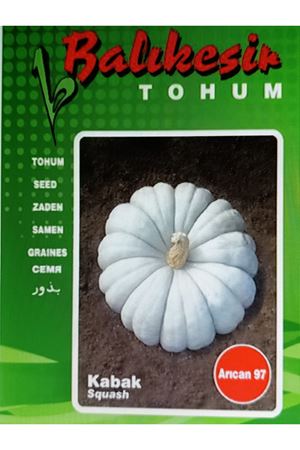 BALIKESİR TOHUM ARICAN 97 BALKABAĞI TOHUMU