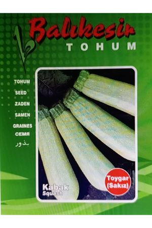 BALIKESİR TOHUM TOYGAR (SAKIZ)  TOHUMU