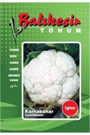 BALIKESİR TOHUM İGLOO KARNABAHAR TOHUMU