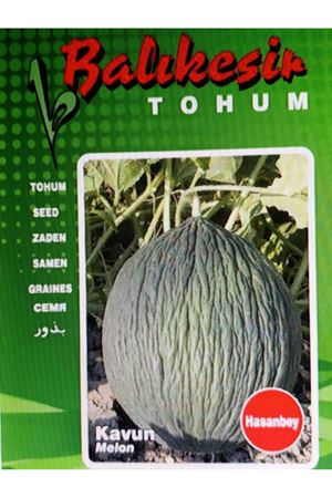 BALIKESİR TOHUM HASANBEY KAVUN  TOHUMU