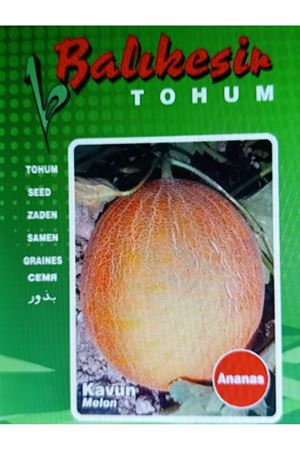 BALIKESİR TOHUM ANANAS KAVUN TOHUMU