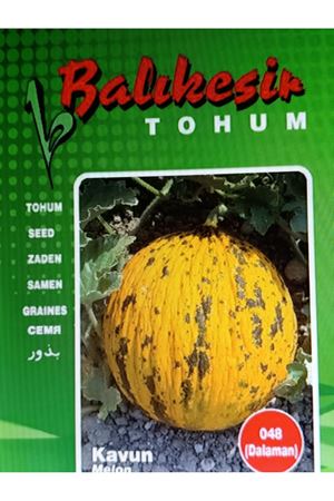 BALIKESİR TOHUM  048 (DALAMAN ) KAVUN TOHUMU
