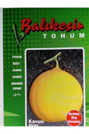 BALIKESİR TOHUM SARIBEY ( KIŞ KAVUNU ) TOHUMU