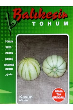 BALIKESİR TOHUM GÖNEN TAN (MÜHÜRLÜ ) KAVUN TOHUMU