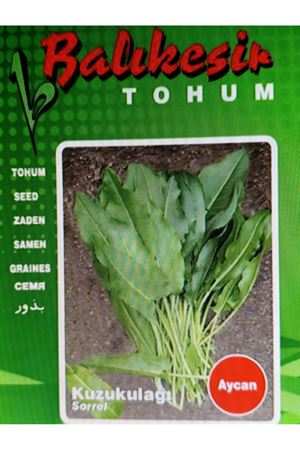 BALIKESİR TOHUM AYCAN KUZUKULAĞI  TOHUMU