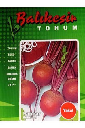 BALIKESİR TOHUM YAKUT KIRMIZI PANCAR  TOHUMU