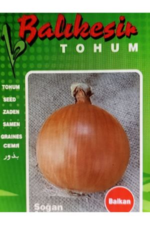 BALIKESİR TOHUM BALKAN SOĞAN TOHUMU