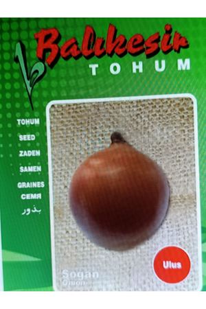 BALIKESİR TOHUM ULUS SOĞAN TOHUMU