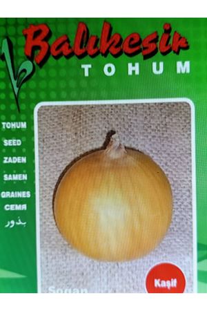 BALIKESİR TOHUM KAŞİF SOĞAN  TOHUMU