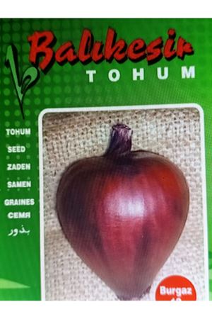 BALIKESİR TOHUM BURGAZ 10 LIRMIZI SOĞAN TOHUMU