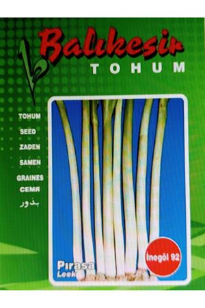 BALIKESİR TOHUM  BEYAZ BİLEK TAZE SOĞAN TOHUMU