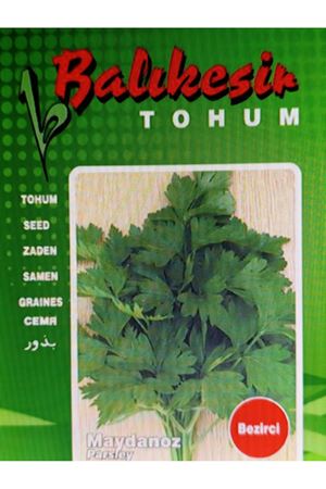  BEZİRCİ MAYDANOZ  TOHUMU 5 KG AMBALAJDA