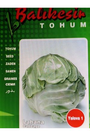 BALIKESİR TOHUM YALOVA 1 LAHANA TOHUMU