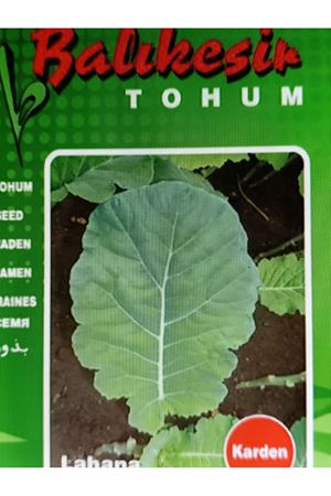 BALIKESİR TOHUM KARDEN LAHANA TOHUMU