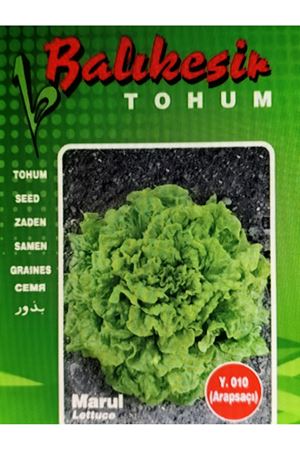 BALIKESİR TOHUM Y.010 ( ARAPSAÇI ) TOHUMU