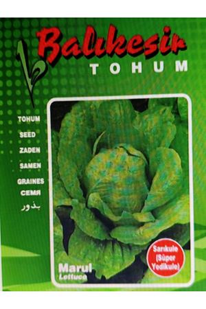 BALIKESİR TOHUM SARIKULE ( SÜPER YEDİKULE ) TOHUMU