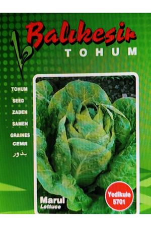 BALIKESİR TOHUM YEDİKULE 5701 TOHUMU