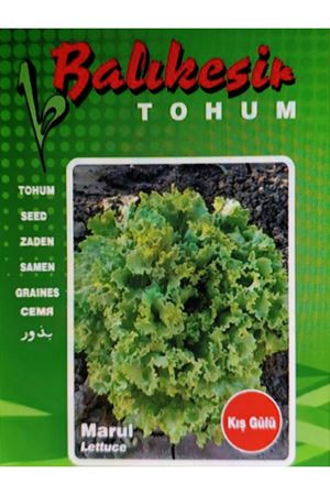 BALIKESİR TOHUM KIŞ GÜLÜ MARUL TOHUMU