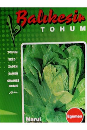 BALIKESİR TOHUM EGEMEN YEDİKULE MARUL  TOHUMU