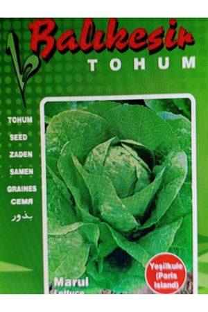 BALIKESİR TOHUM YEŞİLKULE (PARİS İSLAND ) TOHUMU